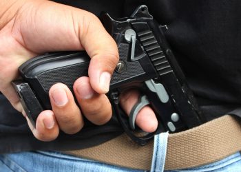 В Украине поддерживают легализацию оружия