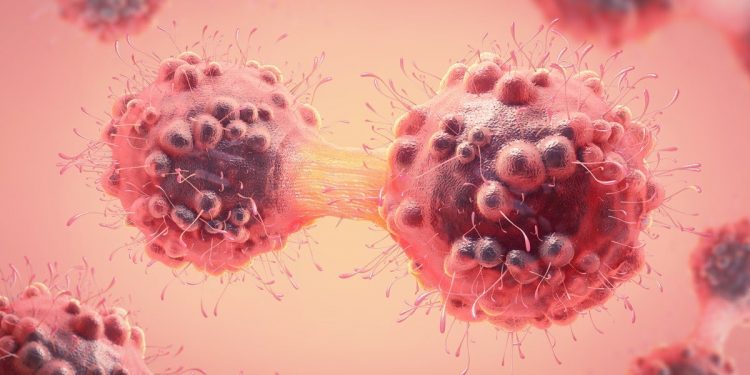 Препарат от рака вызвал ремиссию у всех испытуемых