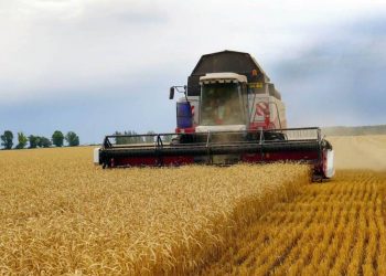 Следующий урожай будет меньше на 40%