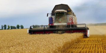 Следующий урожай будет меньше на 40%