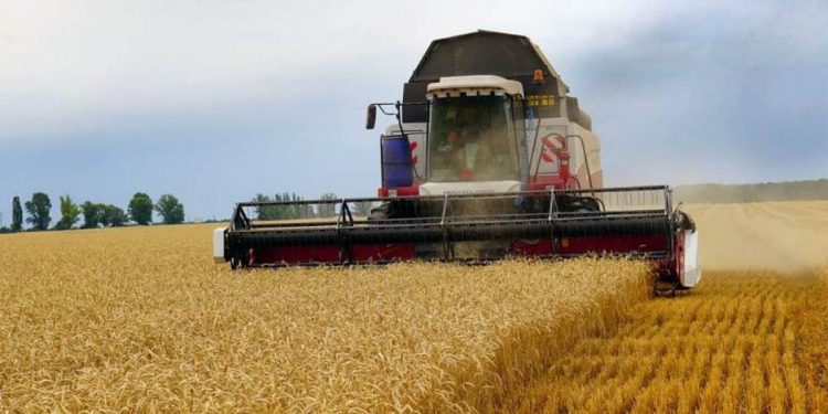 Следующий урожай будет меньше на 40%