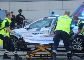 Три человека погибли, четверо было ранено во время стрельбы в ТРЦ Копенгагена