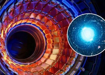 Когда Большой адронный коллайдер выйдет на охоту