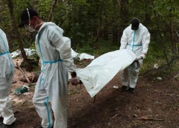 Обновленное число погибших в Киевской области