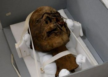 В Британии на чердаке нашли голову мумии