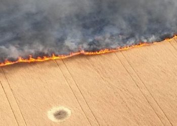 РФ поджигают пшеничные поля на юге Украины