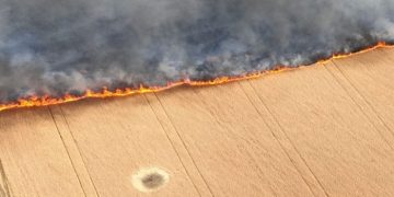 РФ поджигают пшеничные поля на юге Украины