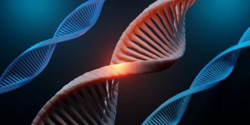 В Украине создадут реестр ДНК человека