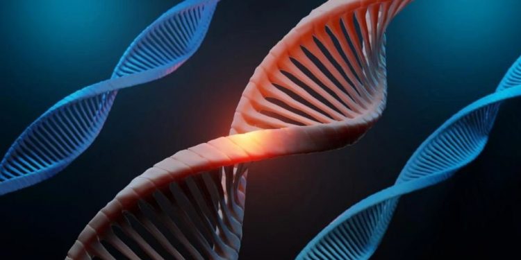 В Украине создадут реестр ДНК человека