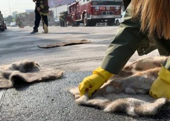 Волосы человека помогают поглощать нефть