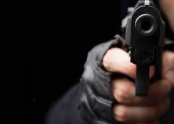 С 2023 года можно будет покупать пистолеты