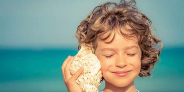 Почему ракушка шумит морем