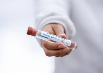 В Нидерландах обнаружили новый вид коронавируса