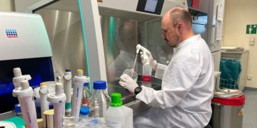 В Европе зарегистрировали смерть от оспы обезьян