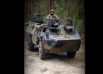 Французские БТРы засветились в Украине