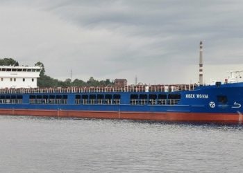 Турция помогает РФ вывозить краденное зерно