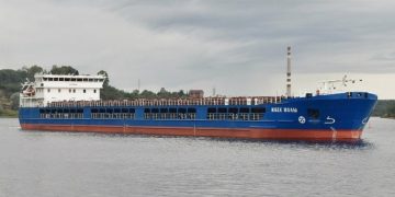 Турция помогает РФ вывозить краденное зерно