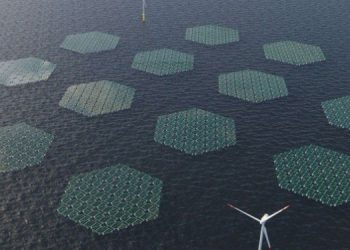 В море запустят “плавучий ковер” из солнечных батарей