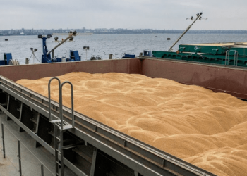 Начал работу Совместный координационный центр по зерновому коридору