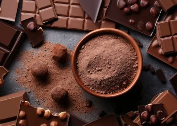 Из-за сальмонеллы остановили шоколадную фабрику в Бельгии