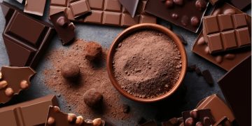 Из-за сальмонеллы остановили шоколадную фабрику в Бельгии