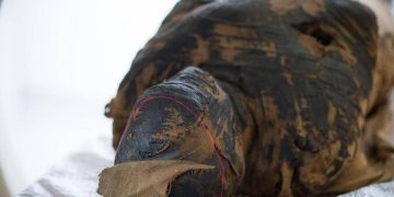 У беременной мумии обнаружили рак