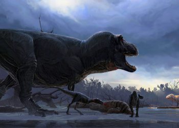 Ученые разгадали секрет господства динозавров