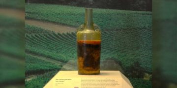 Ученые назвали самое старое вино в мире