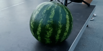 На аукционе продали херсонский арбуз за 2000 грн