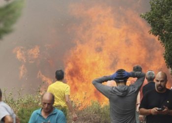 Лесные пожары в Испании. Пострадали около 20 человек