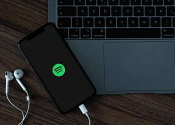 Spotify представит плейлист ко Дню независимости Украины