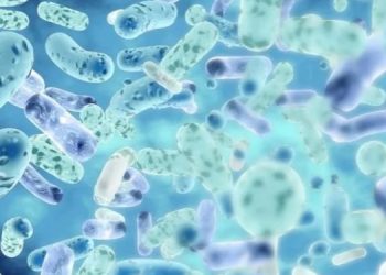 Какие земные живые существа смогут выжить на Марсе