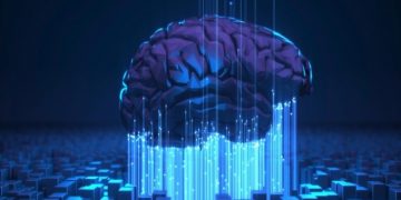 У каких животных самый большой мозг