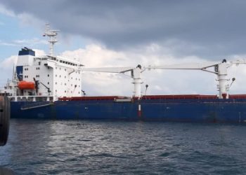 Первый сухогруз с зерном прошел досмотр в Стамбуле