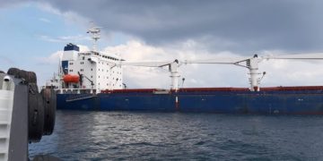 Первый сухогруз с зерном прошел досмотр в Стамбуле