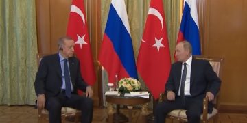 Эрдоган предложил Путину провести встречу с Зеленским