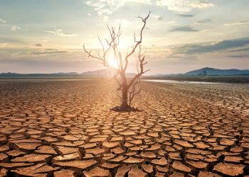 В Китае началась самая сильная засуха