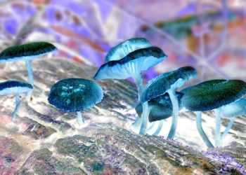 Эффективный способ борьбы с алкогольной зависимостью