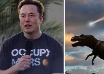 Илон Маск предупреждает о конце света