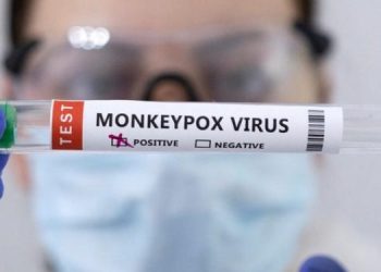 В США объявили ЧС из-за вспышки обезьяньей оспы