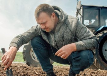 Кабмин выделил 1,5 млрд гривен на дотации аграриям