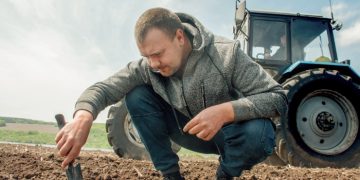 Кабмин выделил 1,5 млрд гривен на дотации аграриям