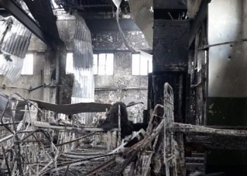 Чем могли убить украинских пленных в Еленовке