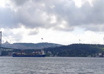 Турция пропускает российские корабли с вооружением