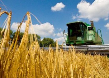 Как аграрии Украины собирают новый урожай зерновых