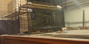 Как россияне создают фейковый “трибунал”