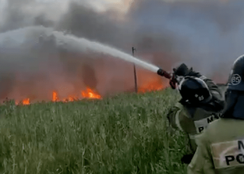 В РФ площадь пожаров за сутки выросла до 122 тысяч га