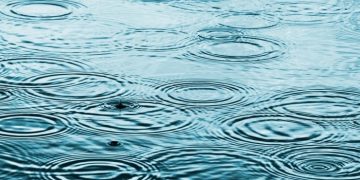 Обнаружены опасные токсичные вещества в дождевой воде