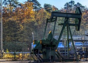 Индия отправляет в Америку российское топливо