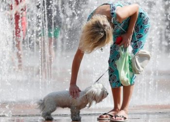 В августе будет жарче, чем обычно